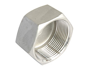 Stainless steel type316 hexagon cap BSP