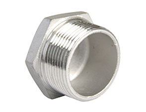 Rvs 316 zeskant plug met cyl. draad BSP