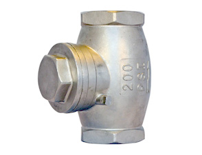 316 Swing check valve RB female/female BSP PN63