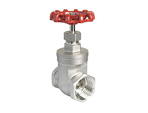 316 Gate valve female/female BSP PN40