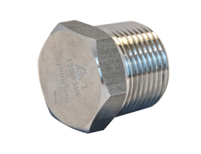 316L hexagon plug NPT 6000#